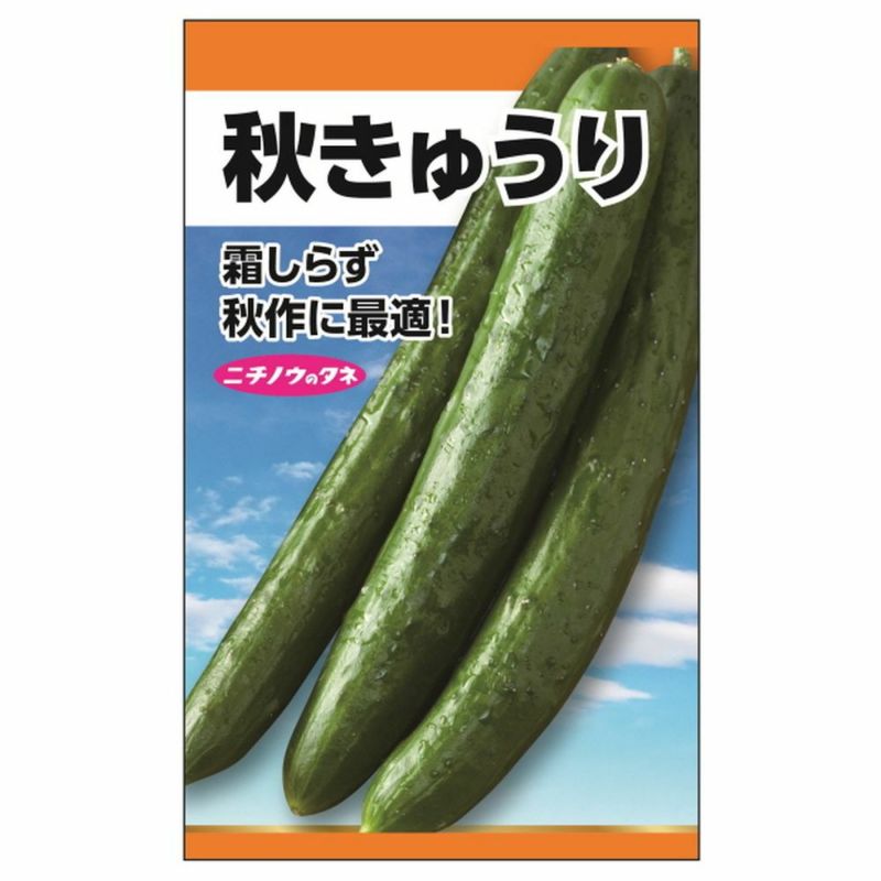 きゅうり 秋きゅうり(霜しらず) 苗 販売 苗木部 By 花ひろば