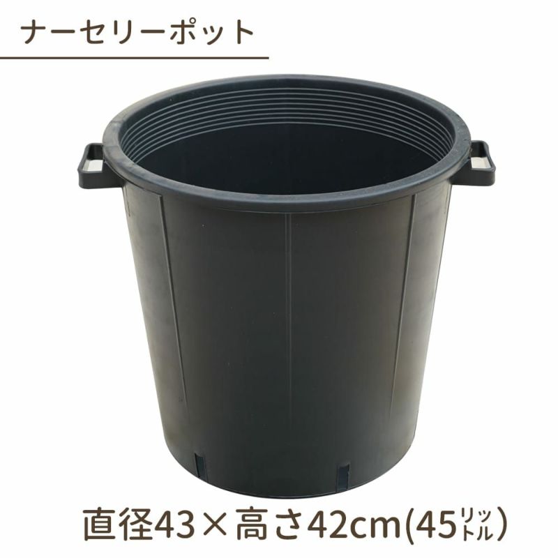 000000108555-01-l.jpg?t=