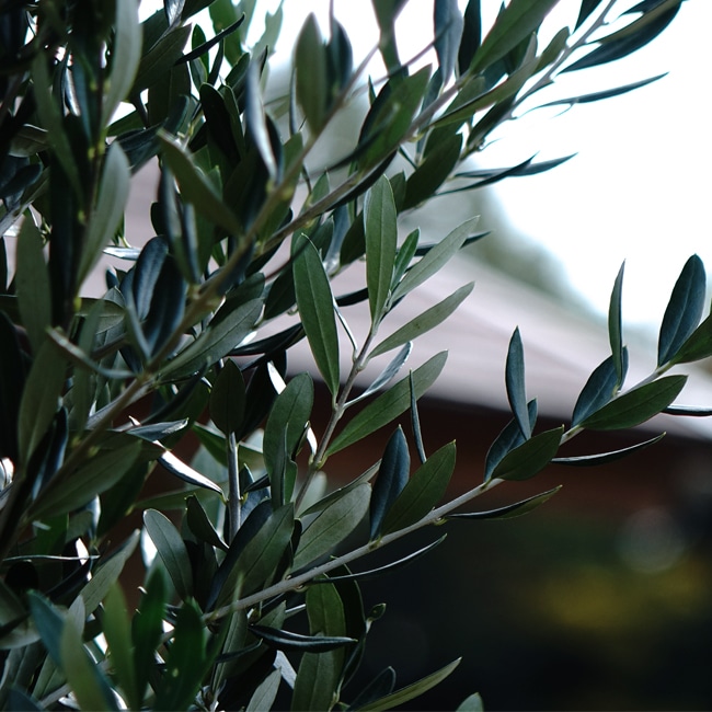 000000008863-02-l.jpg?t=