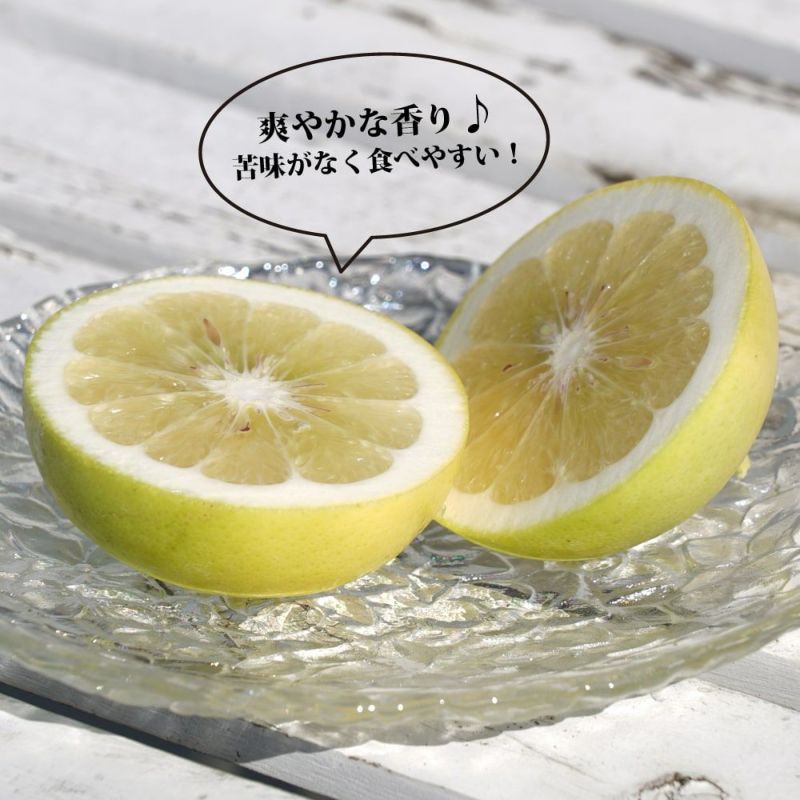 000000010795-02-l.jpg?t=