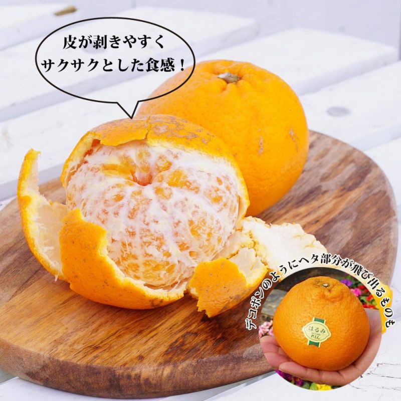 楽天市場】組子調 アートパネル 和風 木製 麻の葉・菱