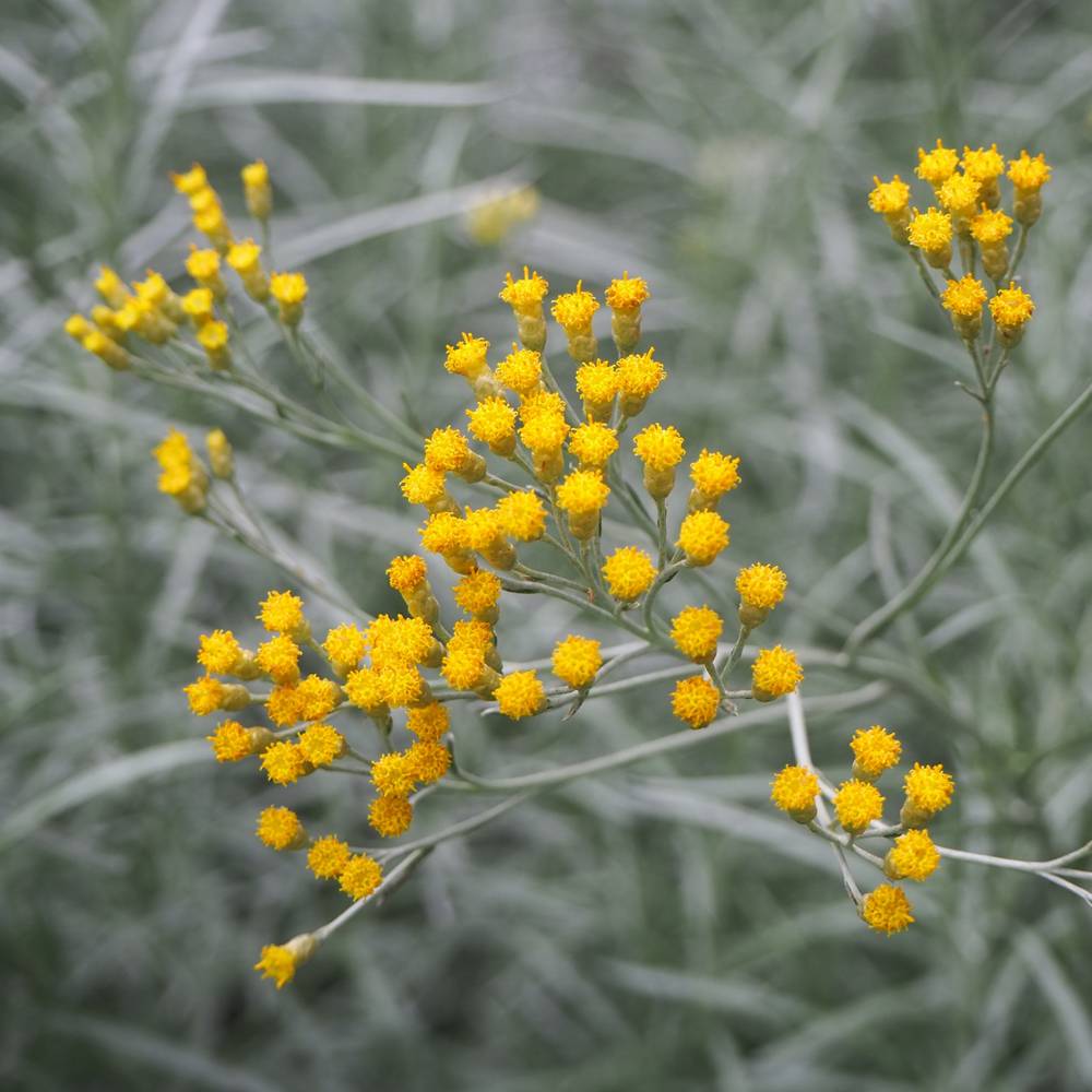 000000013382-05-l.jpg?t=