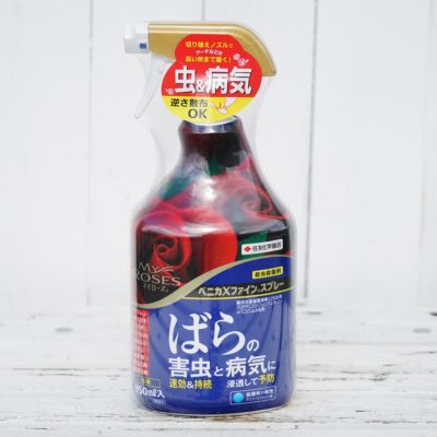 世界的に 住友化学園芸 殺菌剤 マイローズ殺菌スプレー 950ml 園芸 バラ 薔薇 病気 うどんこ病 kucsmaingatlanok.hu