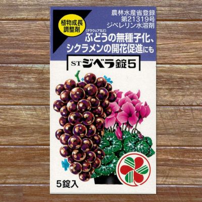 つる性植物の肥料 ぶどうがおいしくなる肥料 2kg 果樹の肥料 ブドウの好きな肥料 資材 果樹 肥料 ひりょう 有機肥料 苗木部 本店 By 花ひろばオンライン