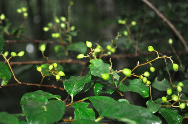 000000016828-04-l.jpg?t=