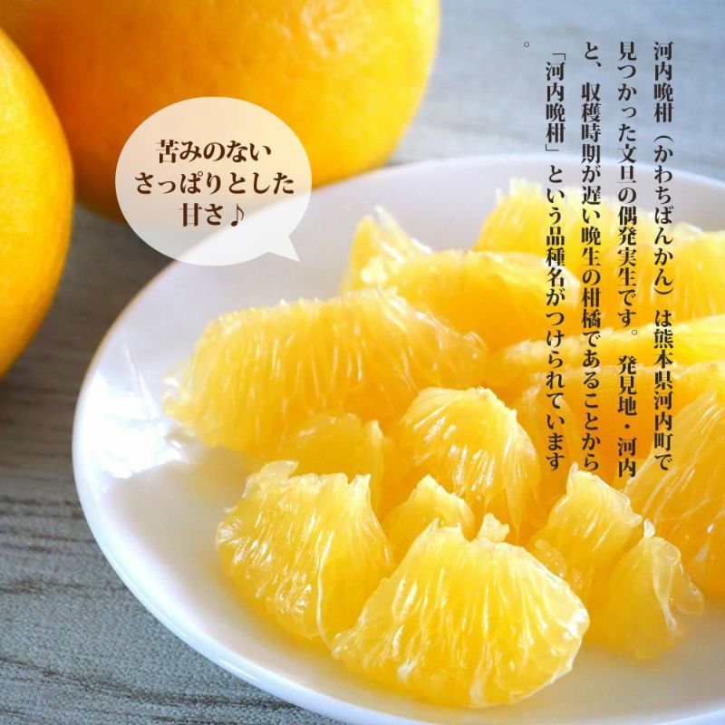 レモン　河内晩柑7kg×２箱ぐるりん 送料込】河内晩柑 約7kg | こうの果樹園オンライン