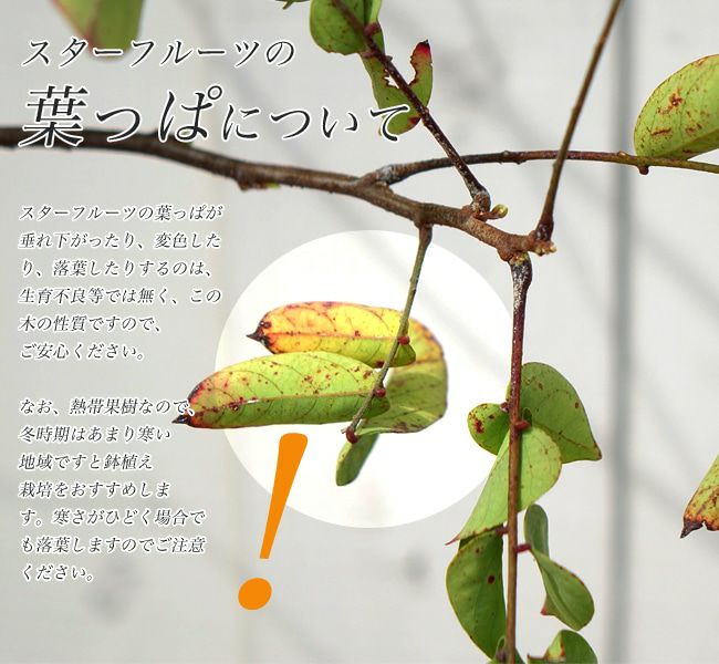 000000018411-07-l.jpg?t=