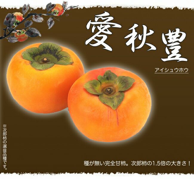 完全甘柿・大豊 苗木 正規品・商品タグと証明書付き 完全甘柿・