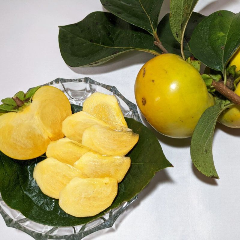 000000019037-02-l.jpg?t=