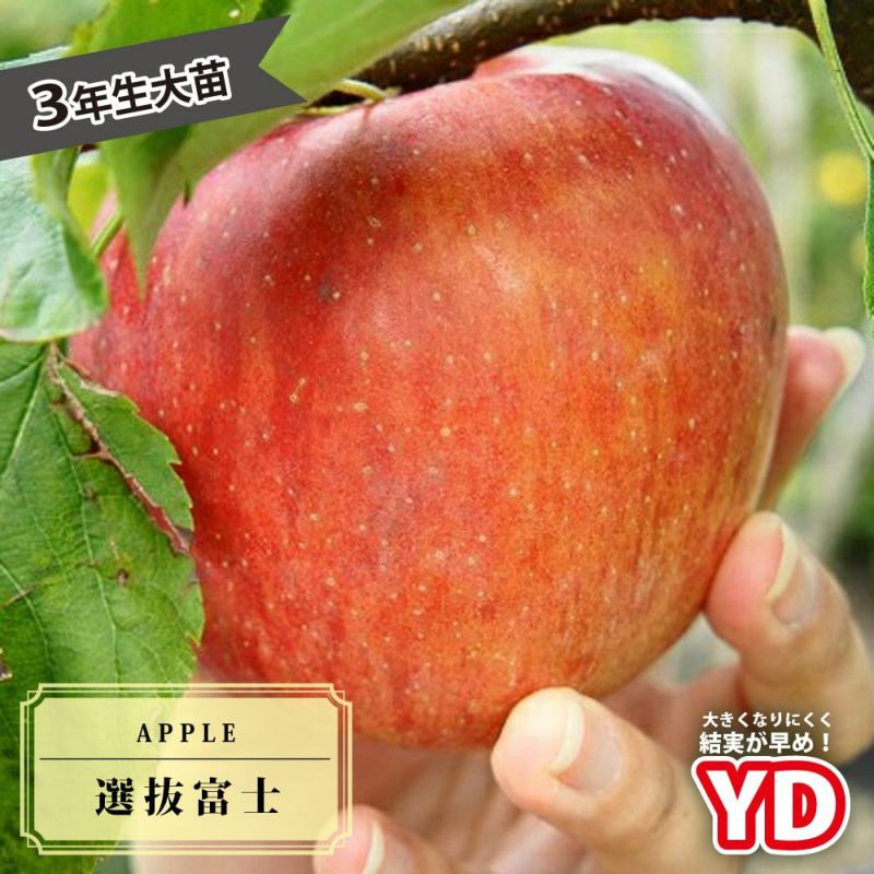 【保障できる】 000000019053-01-l.jpg?t= 果樹