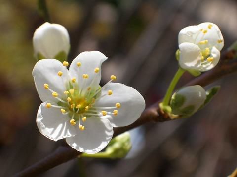 000000019346-03-l.jpg?t=