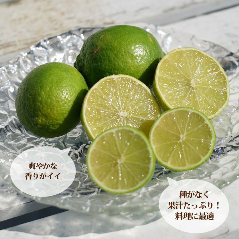 フレーバーグリーン ライム 苗 おすすめ 苗木部 By 花ひろばオンライン フレーバーグリーン ライム 苗 おすすめ 苗木部 By 花ひろばオンライン