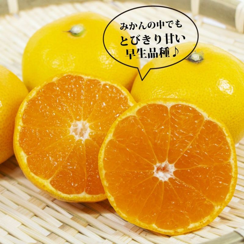 000000020539-04-l.jpg?t=