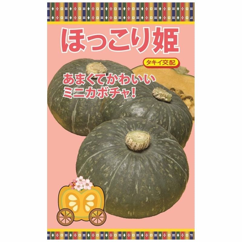 ハ*コ様 かぼちゃの花 カボチャ