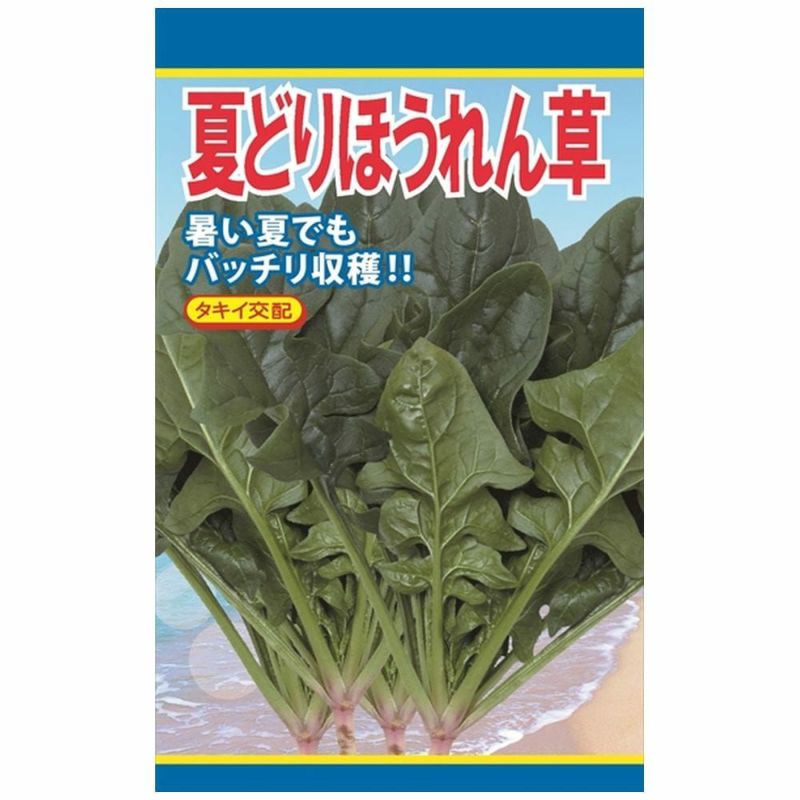 【人気沸騰】 000000121332-01-l.jpg?t= 野菜