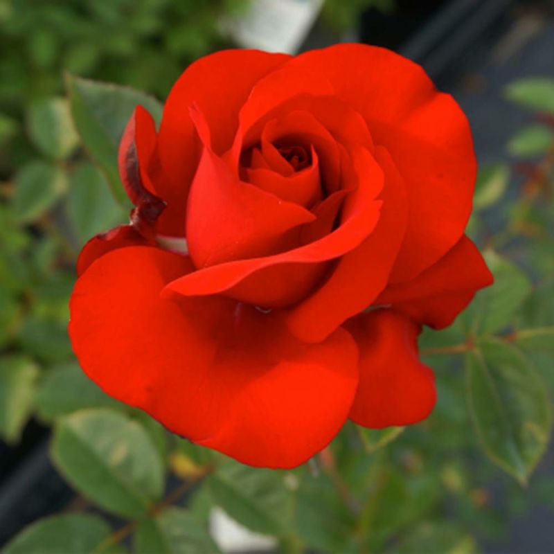 000000021413-06-l.jpg?t=