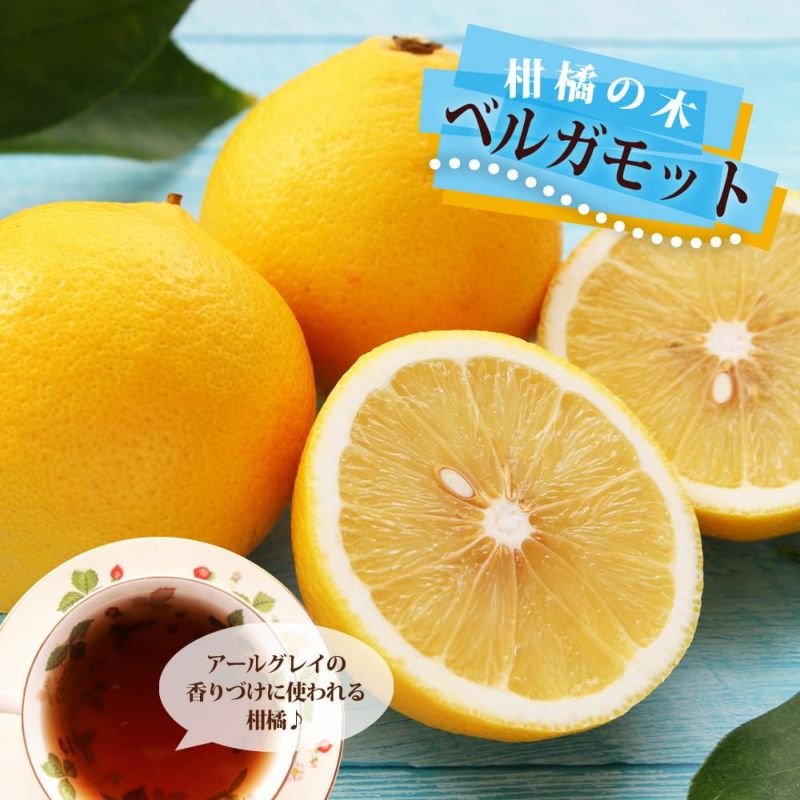 国産ベルガモット オレンジ　 果実 約1kg 国産ベルガモット オレンジ 果実 約1kg 柑橘 オレンジ ベルガモット