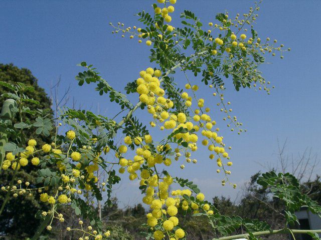 000000023141-02-l.jpg?t=