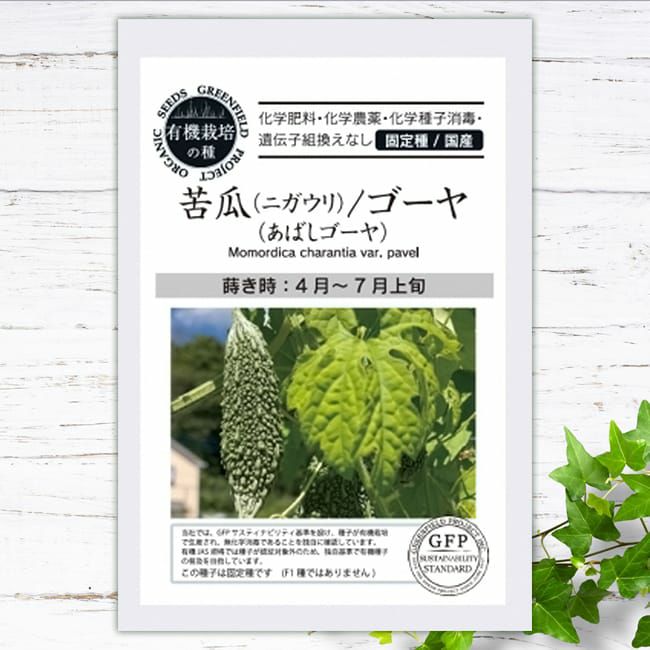 公式通販 - 人気アイテム多数 000000124214-01-l.jpg?t= 下着・アンダーウェア