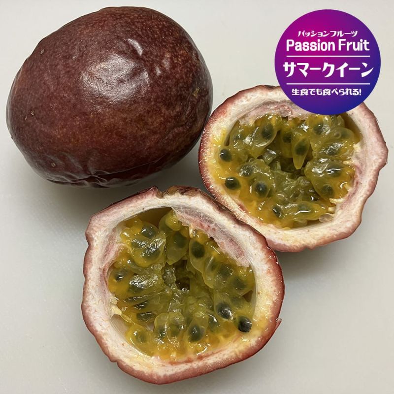 パッションフルーツ 赤紫系 サマークイーン 苗 販売 苗木部 By パッションフルーツ 赤紫系 サマークイーン 苗 販売 苗木部 By