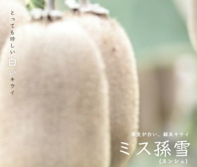 キウイ 1本でなる系 スーパーエメラルド 苗 販売 苗木部 By 花ひろばオンライン キウイ 1本でなる系 スーパーエメラルド 苗 販売 苗木部 By 花ひろばオンライン