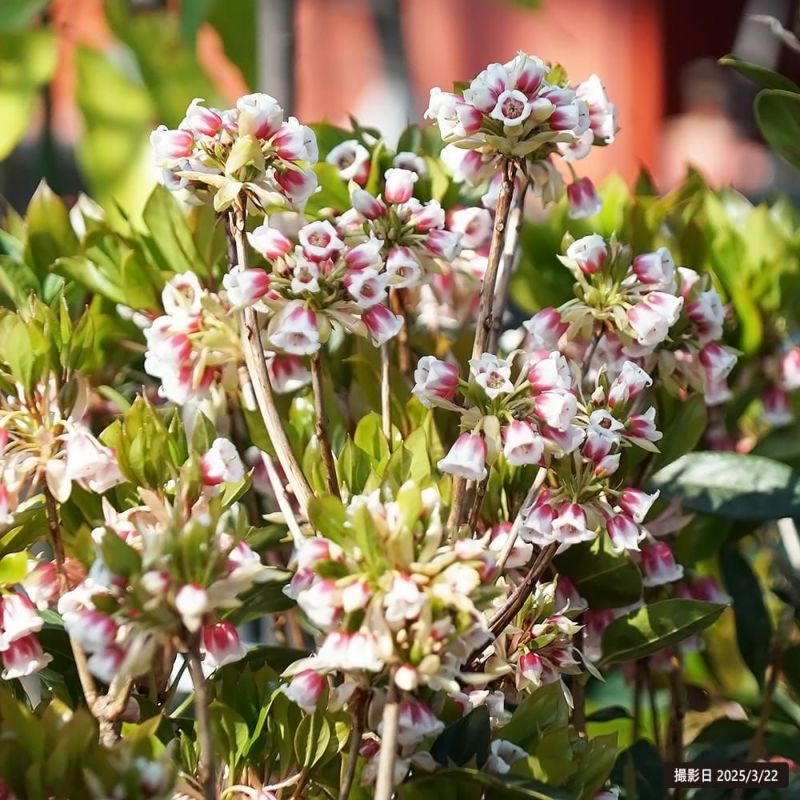 000000032453-03-l.jpg?t=