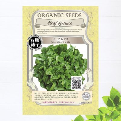 リーフレタス オークリーフ 緑 苗 販売 苗木部 By 花ひろばオンライン