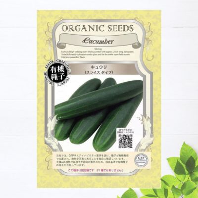 キュウリ スライスタイプ 苗 販売 苗木部 By 花ひろばオンライン