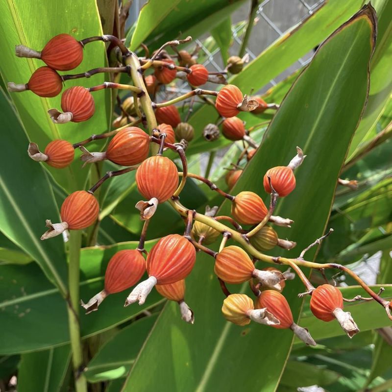 000000132644-02-l.jpg?t=