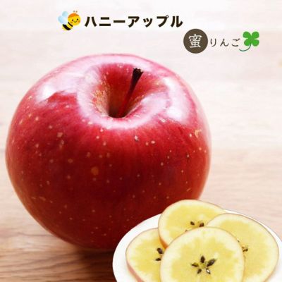 ははりんご りんご 約20kg ご家庭用 葉とらずふじ 青森産 木箱 送料無料