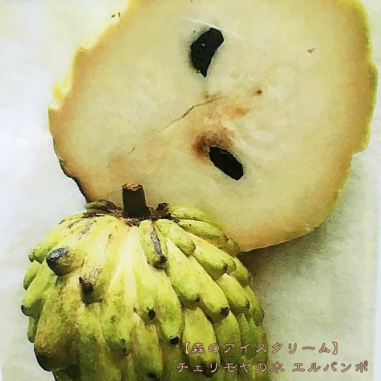 000000034224-01-l.jpg?t=