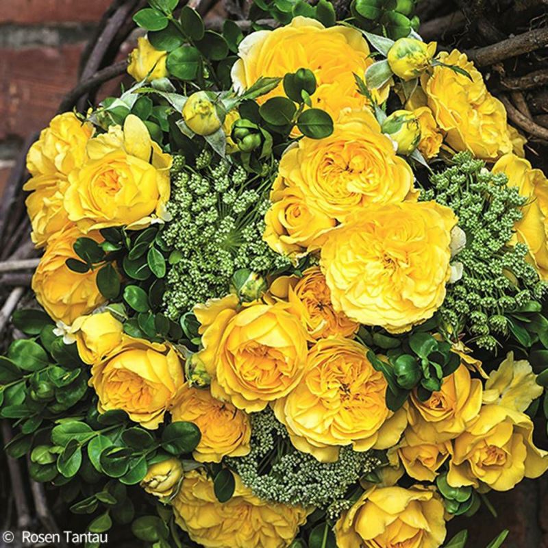 000000034348-06-l.jpg?t=