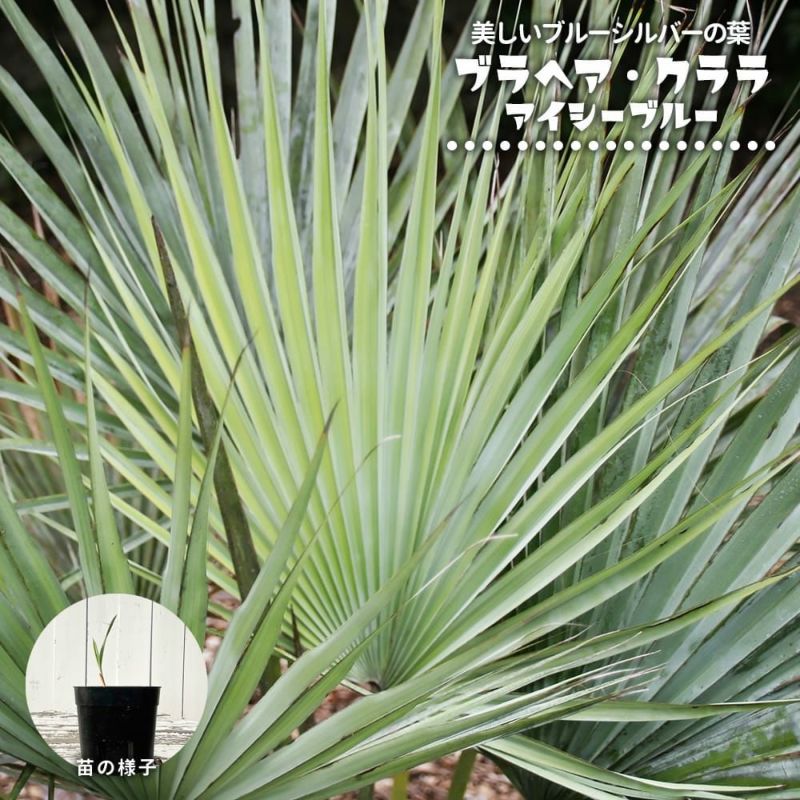 000000134504-01-l.jpg?t=