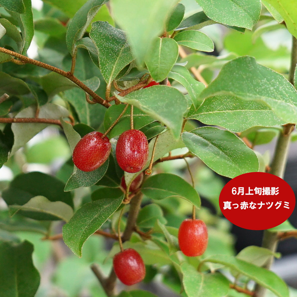 000000035478-02-l.jpg?t=