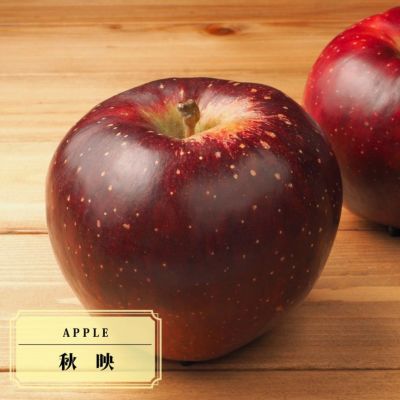 リンゴ 世界一の販売 苗木部 By 花ひろばオンライン