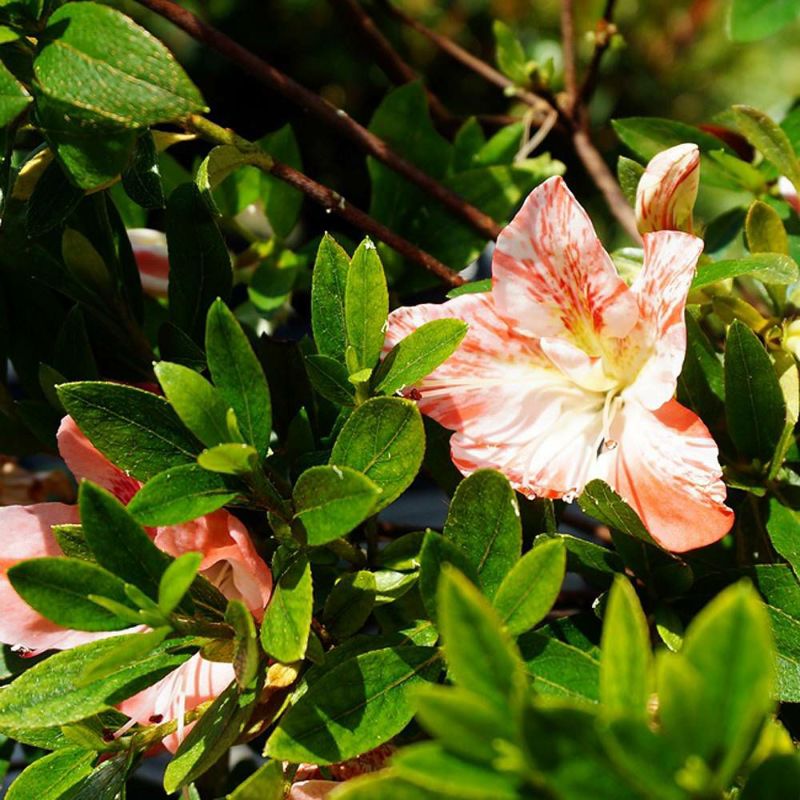 000000036927-07-l.jpg?t=