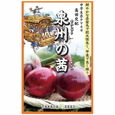 たまねぎ EXスター 苗 販売 苗木部 By 花ひろばオンライン