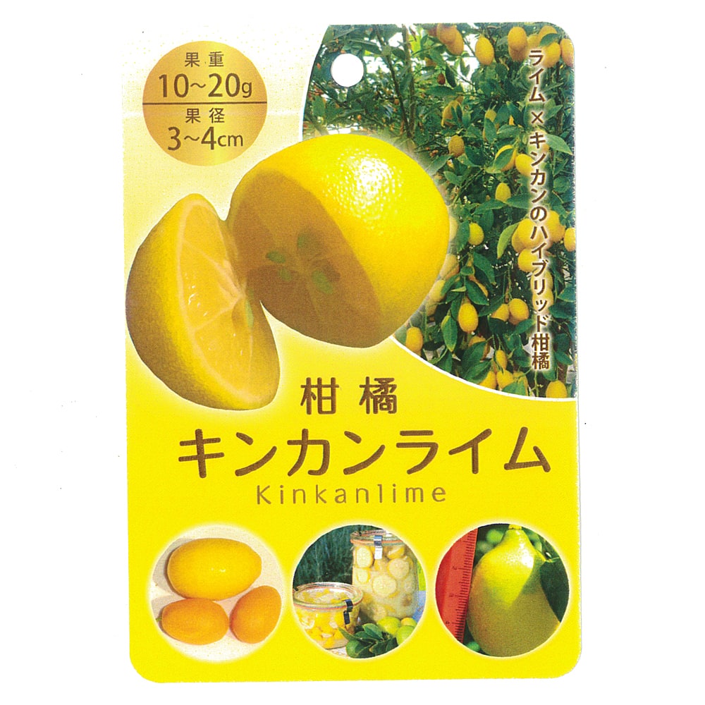 000000137279-02-l.jpg?t=