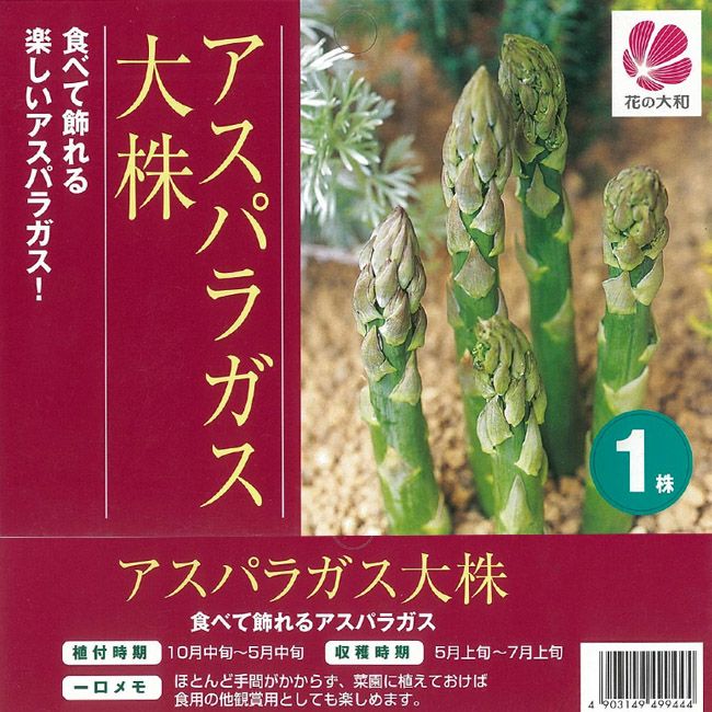 有用植物苗 大株アスパラガスセット 2種8株 葉菜 | pixhall.fr