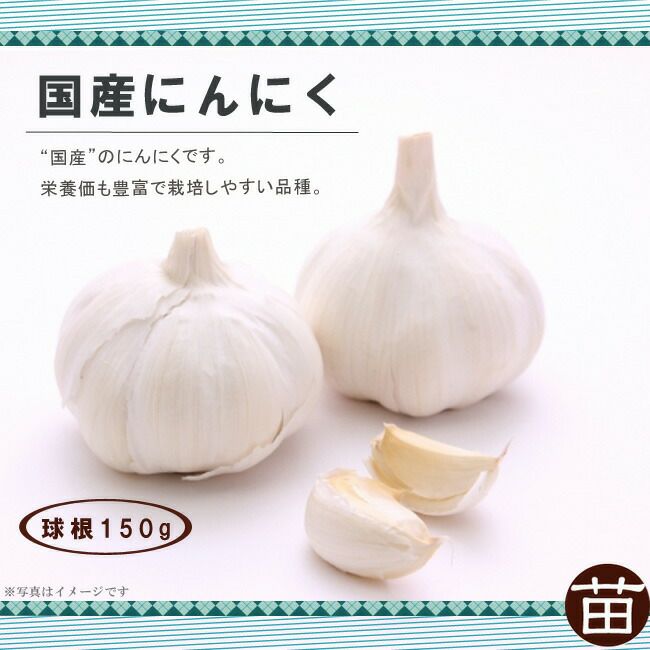 「数量限定 在庫処分セール」 000000039838-02-l.jpg?t= 野菜