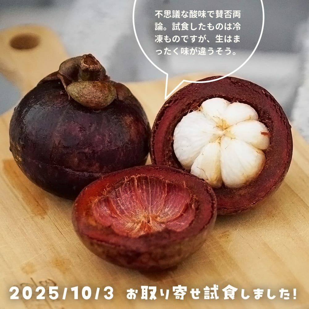 ボリビアンマンゴスチン アチャチャイル 実生5年 ボリビアン