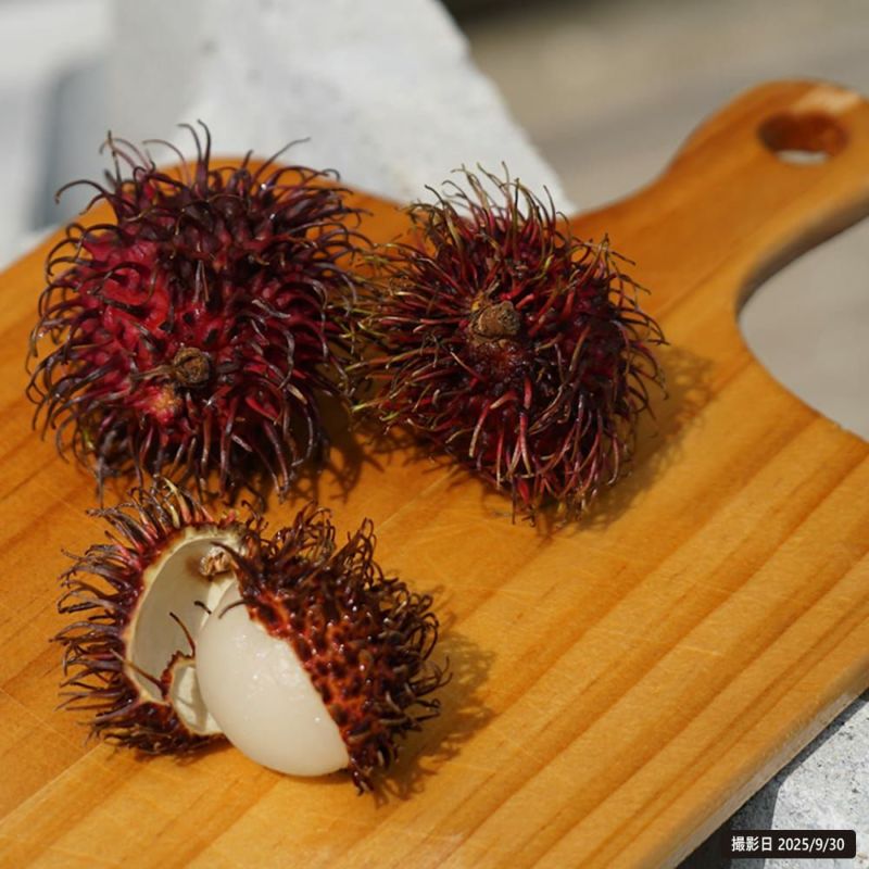 000000140220-04-l.jpg?t=