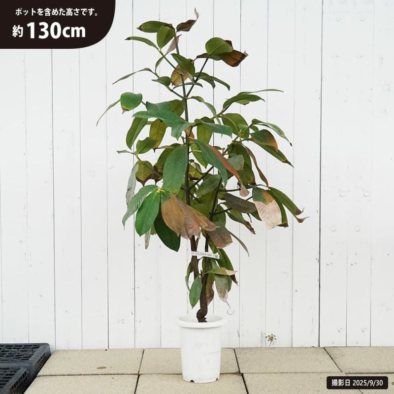 000000140514-01-l.jpg?t=