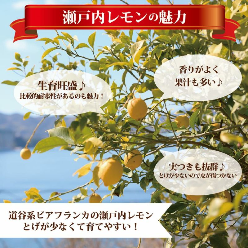 000000041343-02-l.jpg?t=