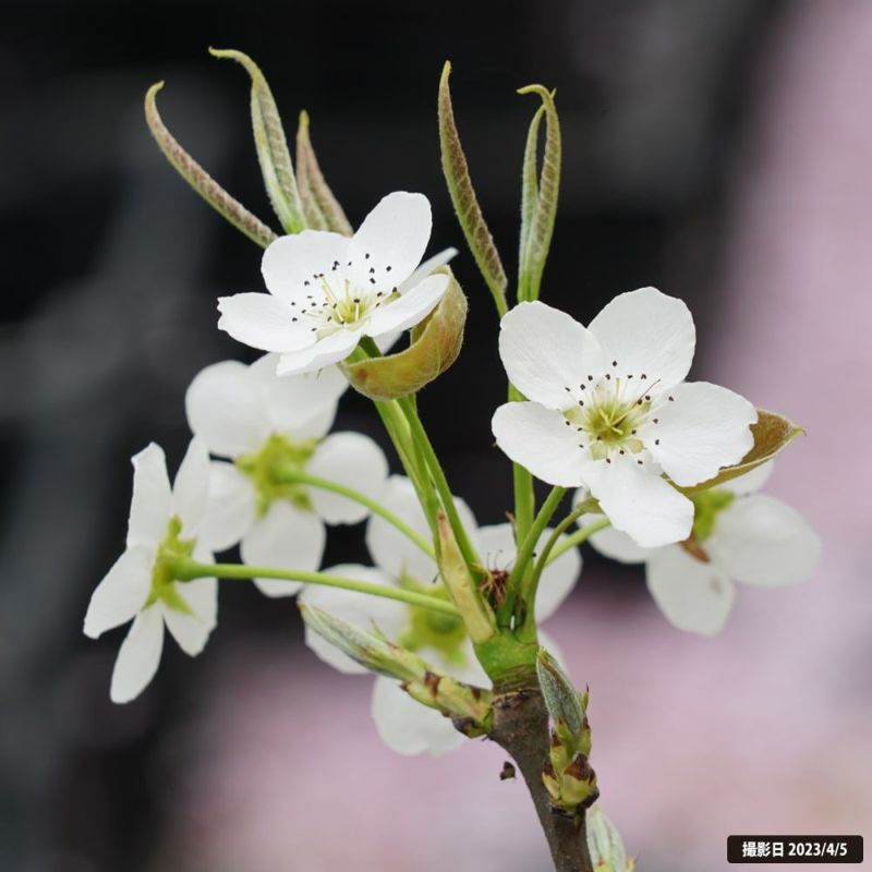 000000043172-02-l.jpg?t=