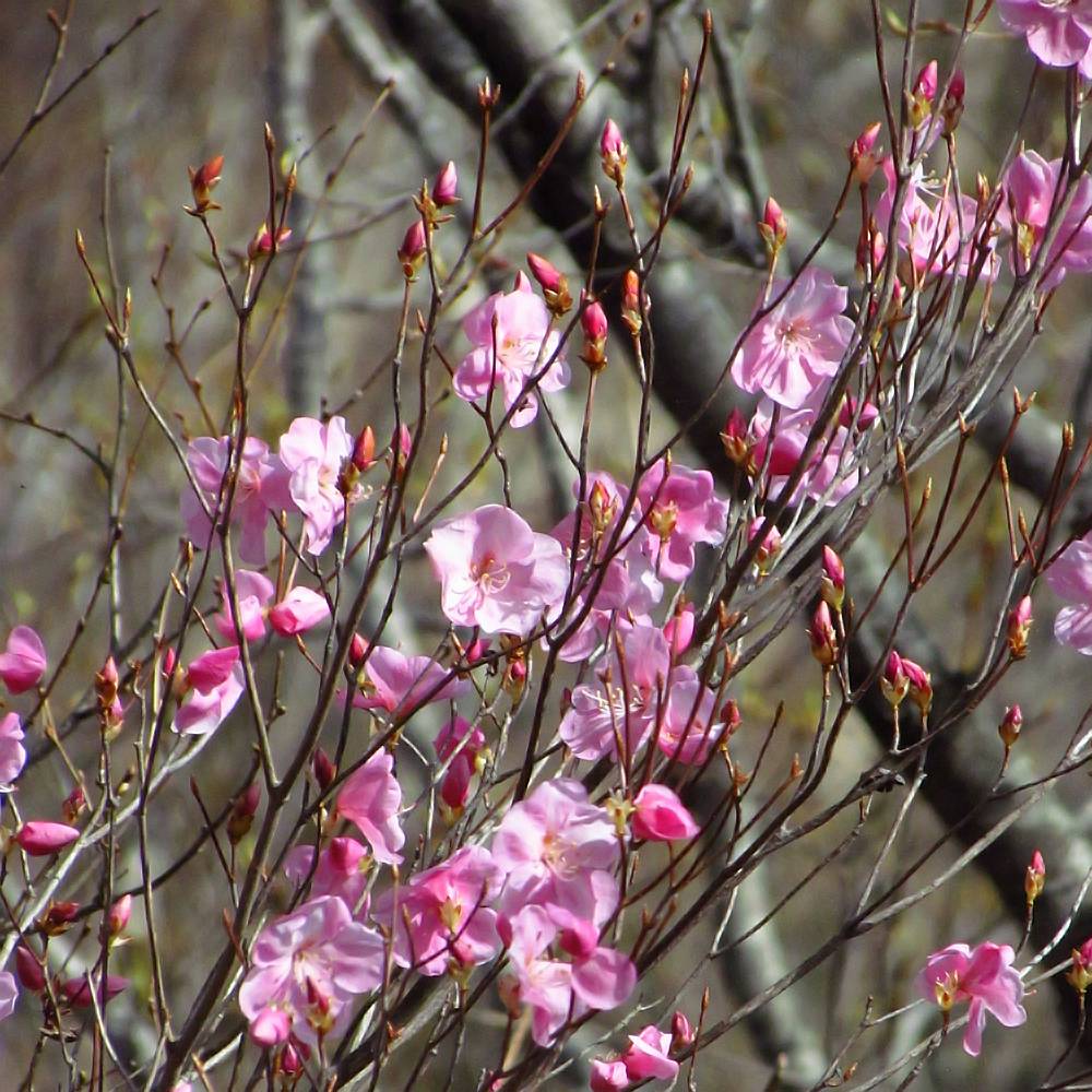 000000143863-05-l.jpg?t=