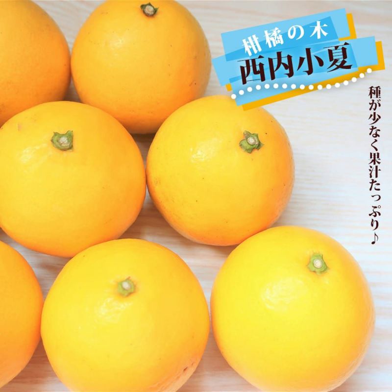 000000144896-01-l.jpg?t=