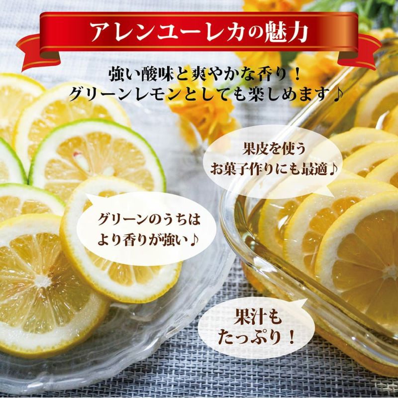 柑橘 レモン アレンユーレカの鉢植え 苗木部 By 花ひろばオンライン