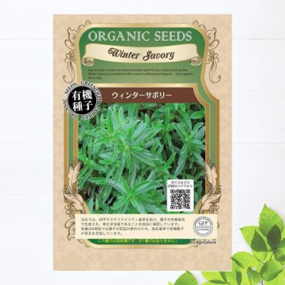 水菜 水菜 苗 販売 苗木部 By 花ひろばオンライン