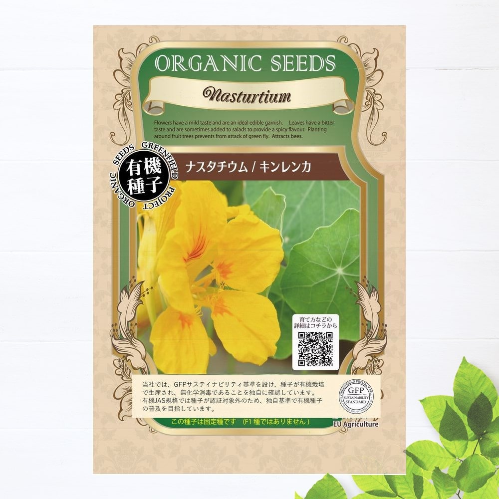 四季咲き ヒメイチゴノキ マリーナ ストロベリーツリー 大苗 苗木部 本店 By 花ひろばオンライン